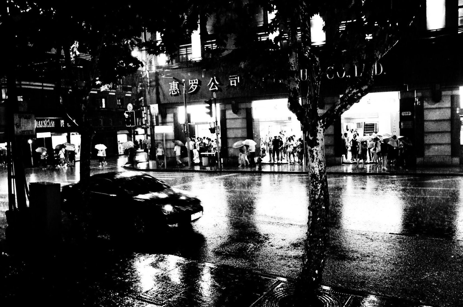 A bare tree and parked cars on a rain-soaked street, neon reflected in the tarmac.