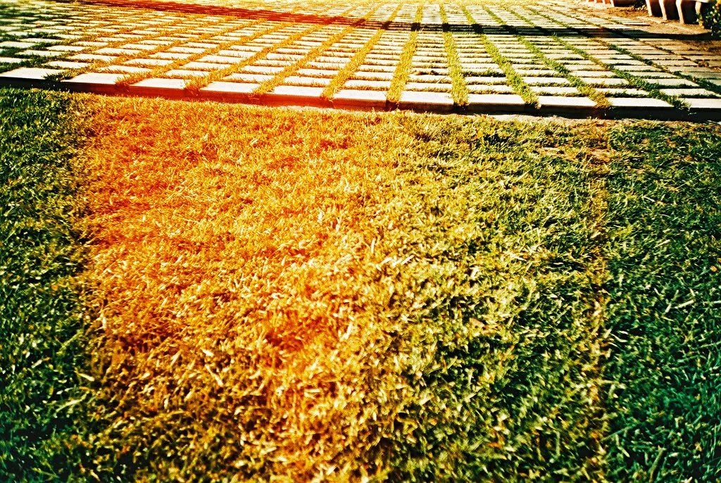 Film